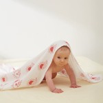 Bamboo Blanket Manufacturer - Soft Organic Weighted 6 Layer