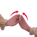 Infant Romper Manufacturer - High Quality Organic Cotton