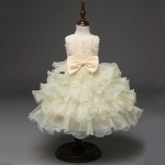 Princess Dress Supplier - Boutique Rose Bowknot