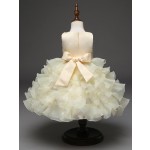 Princess Dress Supplier - Boutique Rose Bowknot