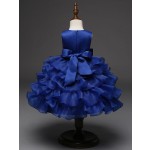 Princess Dress Supplier - Boutique Rose Bowknot