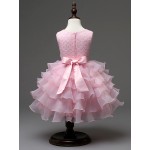 Party Dress Manufacturer - Summer Tutu Costume