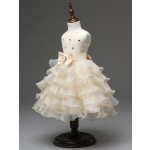 Party Dress Manufacturer - Summer Tutu Costume