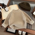 Baby Sweater Manufacturer - Chunky Knit Pullover