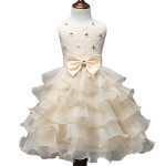 Party Dress Manufacturer - Summer Tutu Costume