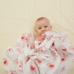 Swaddle Blanket Factory - Hot-sale 70% Bamboo 30% Cotton