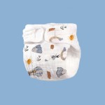 Kitchen Towel Supplier - 100% Cotton Dish Cloth Classic