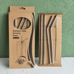 Drinking Straws Manufacturer - Reusable Stainless Steel Brush