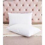 Polyester Pillow Cover Supplier - Premium Waterproof Breathable Knitting