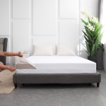 Bed Bug Protector Factory - Waterproof Zippered Mattress Encasement