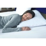 Pillow Case Supplier - Waterproof Cotton Anti Bed Bug