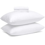 Pillow Case Supplier - Waterproof Cotton Anti Bed Bug