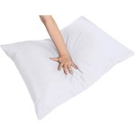 Hotel Pillow Case Manufacturer - High Quality Luxury White Cotton