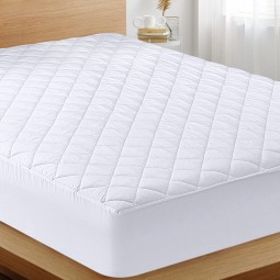 Cotton Terry Cover Supplier - Hypoallergenic Water Proof Bed
