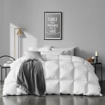 Cotton Comforter Supplier - 100% Cotton Fabric Duvet Set