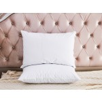Washable Pillow Case Factory - Washable White Zipper Style