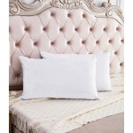 Washable Pillow Case Factory - Washable White Zipper Style