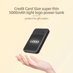Power Bank Manufacturer - OEM 5000mAh Type-C Micro USB RoHS