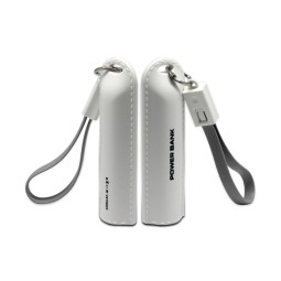 Power Bank Supplier - Custom 2600mAh Keychain 18650 Battery