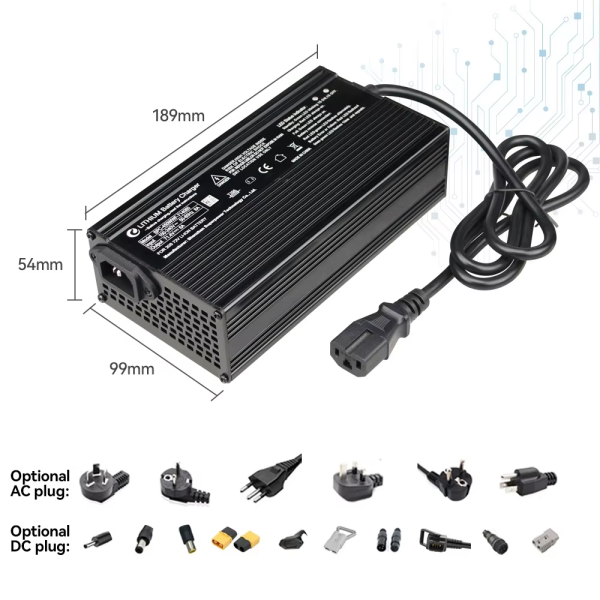 Lithium Charger Factory - Bulk 45W-84V E Bike Scooter Charger