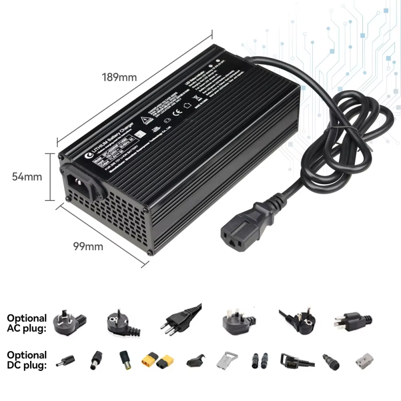Lithium Charger Factory - Bulk 45W-84V E Bike Scooter Charger