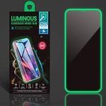 Screen Protector Supplier - OEM Night Luminous iPhone Screen Protector