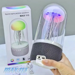 Wireless Speaker Manufacturer - LED Jellyfish Lamp OEM