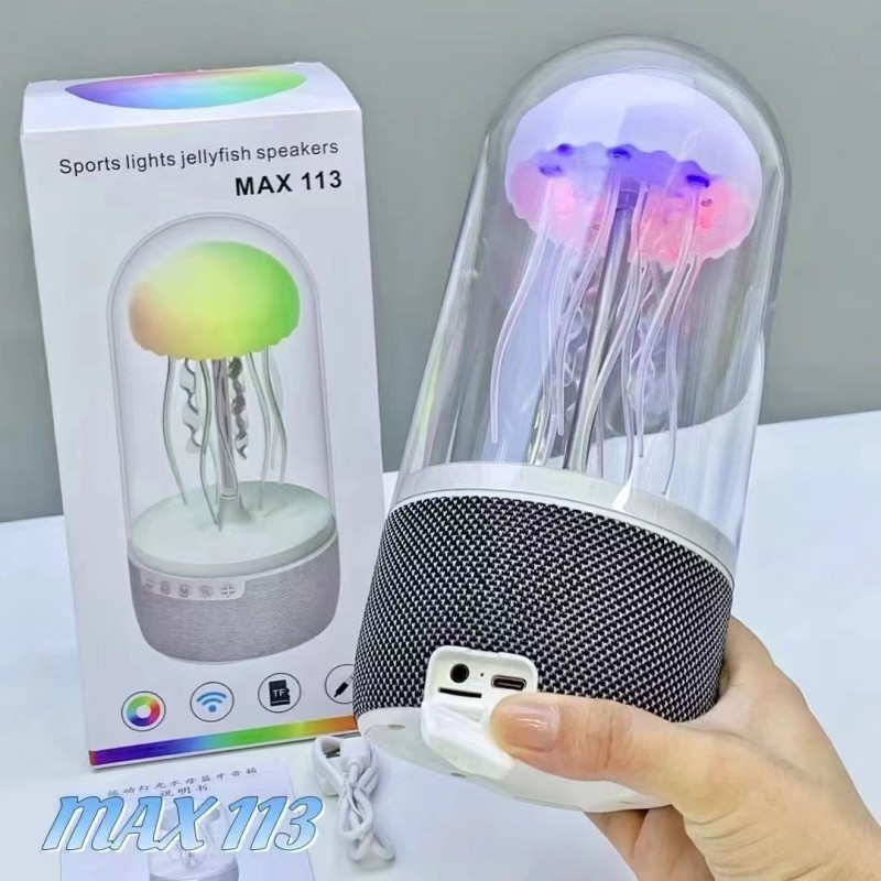 Wireless Speaker Manufacturer - LED Jellyfish Lamp OEM