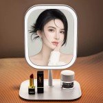 Makeup Mirror Manufacturer - LED Foldable OEM