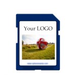 SD Card Factory - 16GB C10 TF Card OEM