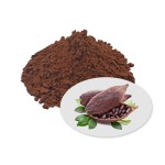 食品级碱性可可粉，10%-12%，低脂，用于袋装烘焙食品
