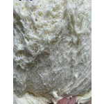High-Activity Professional Dry Yeast Powder Nice Price Rapid-Rise Yeast from Active Manufacture