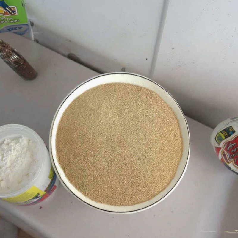 Active Dry Yeast High Sugar for Bakery Instant Powder Baking Powder Packaged in a Bag for Swelling