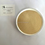 高发酵即食干酵母食品级粉末形式由中国制造商提供