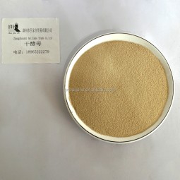 高发酵即食干酵母食品级粉末形式由中国制造商提供
