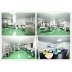 High-Activity Dry Yeast for Bread Baking and Sugar Fermentation Factory Supplied in Powder Form Fascinating Price