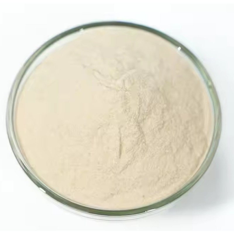 China Factory-Made Food Additives Emulsifier Pectin Stabilizer Thickener at Factory Price
