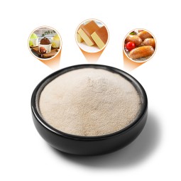 食品级明胶粉GMP认证清真风味型干酶袋装中国制造价格厂家