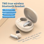 Wireless Earbuds Factory - OEM ANC Noise Cancelling Stereo Earphone