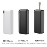 Power Bank Factory - OEM Dual Output 20000mAh Mobile Charger