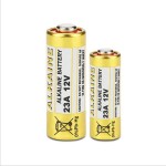Alkaline Battery Supplier - OEM 23A 12V Battery Pack