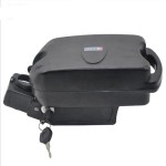 Ebike Battery Supplier - OEM 48V 20ah Frog Style Tube Pack