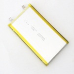 LiFePO4 Battery Manufacturer - OEM 9065113 10000mAh Power Bank