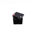 Battery Box Factory - OEM 32140 ABS Empty Plastic Case