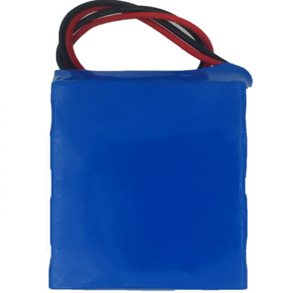 Lithium Battery Supplier - OEM 24V 26650 Appliance Detector