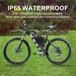 E-bike Battery Manufacturer - OEM 48V-72V Triangle Battery Pack