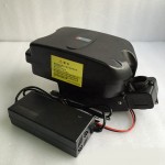 Ebike Battery Supplier - OEM 48V 20ah Frog Style Tube Pack