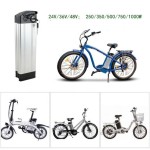 E-bike Battery Factory - OEM 36V 15ah Silverfish Li-ion Pack