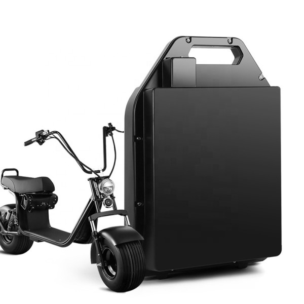 Citycoco Battery Supplier - OEM 60V 20ah Scooter Pack