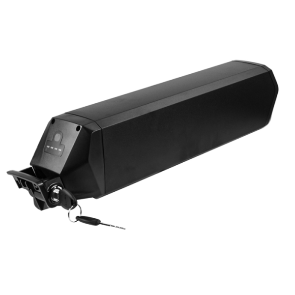 E-bike Battery Factory - OEM 48V 20Ah 1200-Cycle Lithium